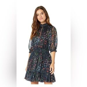 Joie Elegant Sheer Sleeve Dress